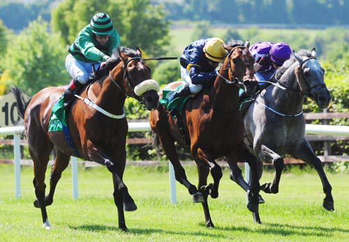 From left to right; Won Diamond, Stepwise and Forester battle out the finish