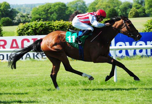 Rocktique strides out to victory under Niall McCullagh