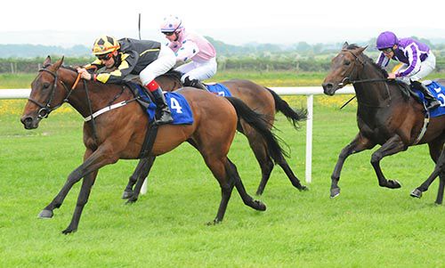 Indian Icon is pushed out by Fran Berry from Lean And Keen on the inside with Inkerman back in third