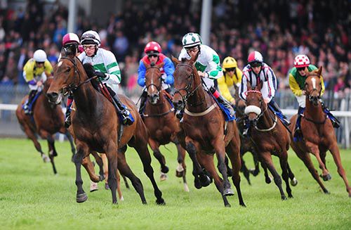 Tempo Mac (left) & eventual winner Durand lead the field away from the stands