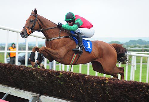 Beachdale Lad has been nicely backed