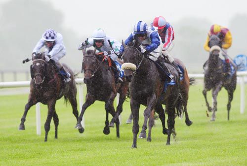 Exogenesis on his way to victory under Gary Carroll