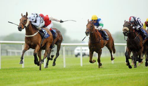 C'Est Ma Souer is driven out by Kevin Manning from Paynes Find (partially hidden) on the inside