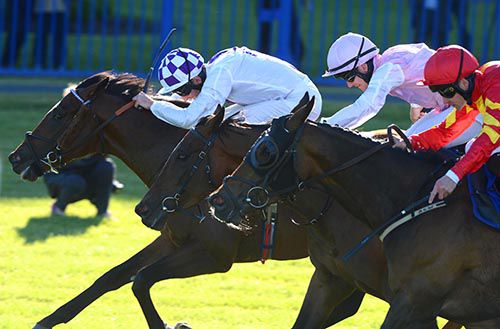 Leitir Mor swoops for Group 3 glory 