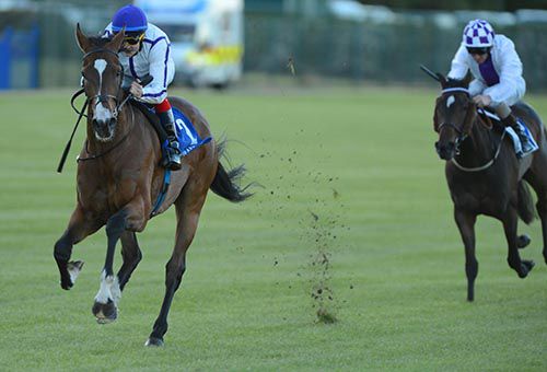 Henry Higgins dominates in the last race at Leopardstown