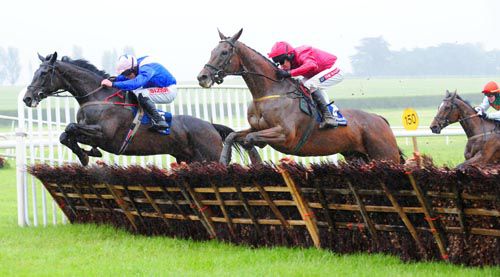 Goodoldhonkytonk (blue) jumps the last alongside Thomond