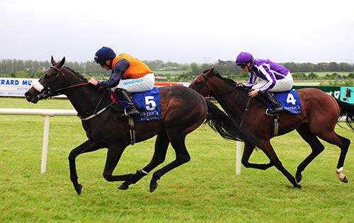 The Organ Grinder & Chris Hayes see off Keyword & Billy Lee