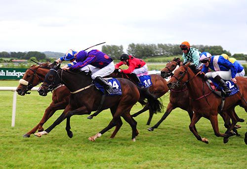 Penny Serenade (nearest) battles out the finish with Cookie Crumbles