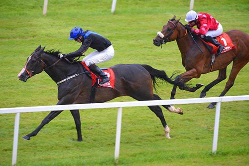 Cape Of Approval pictured on his way to victory at Cork on his last start
