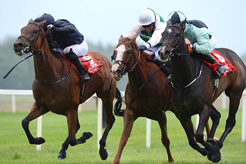 Midnight Soprano (nearside) proved stronger than Cubanita (centre) and Magical Dream in the Noblesse