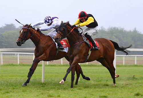 Necks out, heads down, Morning With Ivan (left) just beat off Brog Deas at Cork