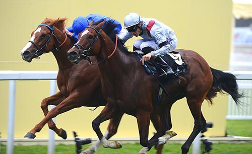 Dawn Approach and Toronado 