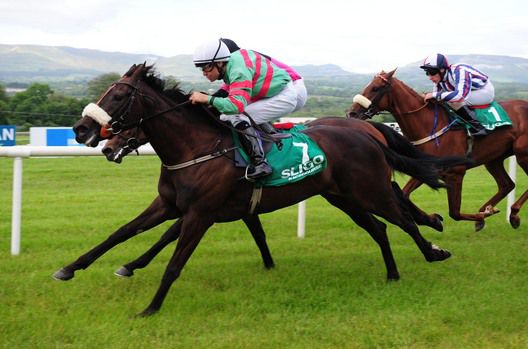 Job done - Princess Aloof and Niall McCullagh at Sligo