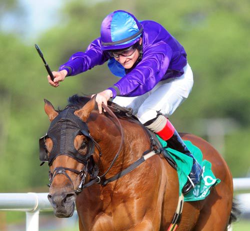 'Dusty' Foley rides out Auden for the Sligo win