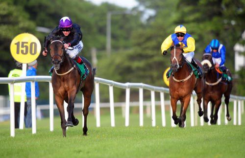 Show Court leaves Traveller's Tale and Qasser in his wake at Sligo