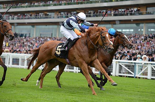 Duntle winning yesterday