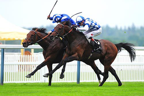 Al Kazeem (nearest) pictured on his way to victory at Royal Ascot