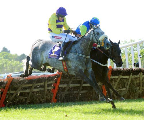 Our Man Zebo (near side) and Lady Of Glencoe are in the air together at the last