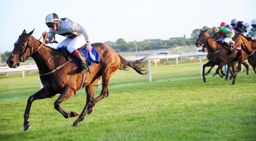 Myblueeyedgirl and Fergal Harford stretch clear in the bumper