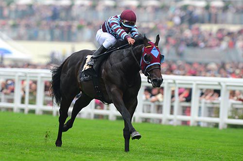 Joel Rosario winning on No Nay Never for trainer Wesley Ward at Royal Ascot in 2013