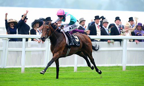 Riposte and Tom Queally