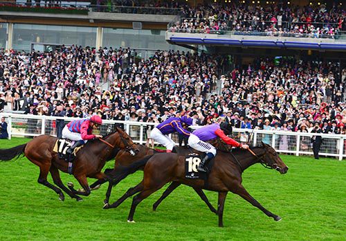 Estimate (near side) wins for The Queen