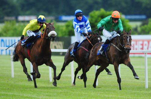 Digeanta causes interference to Storm Away