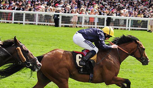 Hillstar pictured on his way to victory at Royal Ascot in 2013