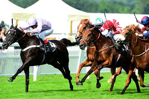 Forgotten Voice makes his way home at Royal Ascot