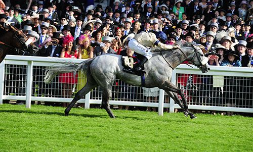 Lightning Cloud and Neil Callan serve up a shock