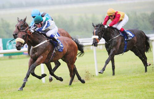 Nuestra Alegria swoops past Burren Trail at Limerick
