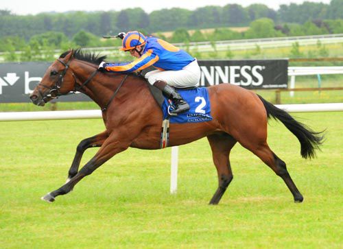 Mansion House strides clear at Limerick