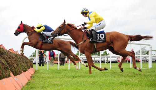 Shadow Catcher in front at Down Royal