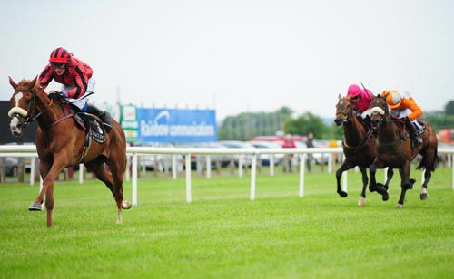 Nathans Pride dominates his rivals at Down Royal