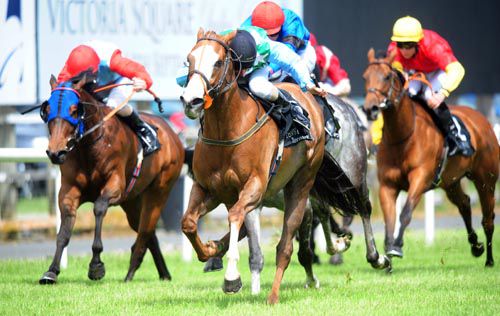 Sassaway beats them all off at Down Royal