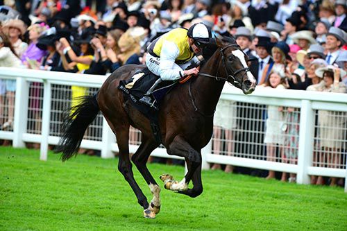 Berkshire and Jim Crowley come home in front in the Chesham Stakes