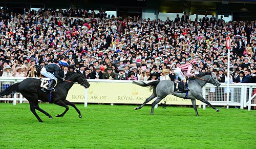 Lethal Force wins the Diamond Jubilee from Society Rock