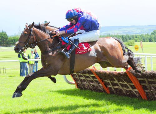 Ballinalacken just ahead of Top Cat Henry at the last