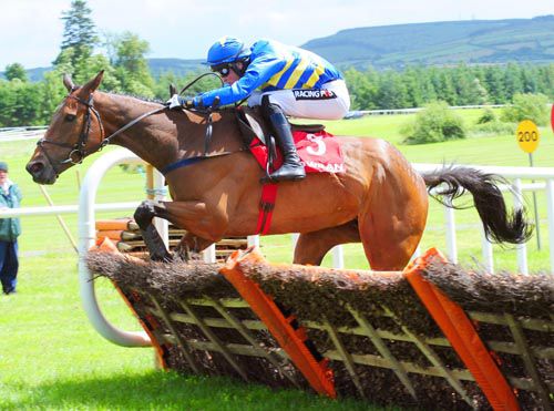 Best Value and Danny Mullins jump the last 