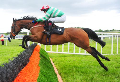 Gudnis Gracious Me jumps a flight on her way to victory under Mikey Butler