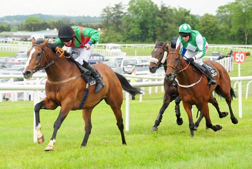 Akatara is driven out by Jody McGarvey