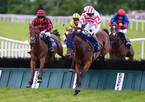 Rodeo Rocket and Bobby Molloy touch down in front at the last from Coosan Belle