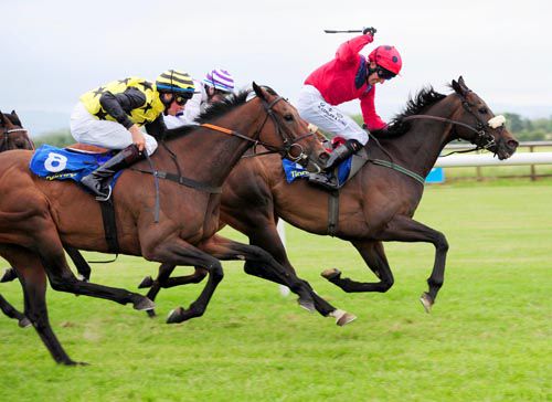 Carpet Elegance delights Derek McCormack.  Eventual 2nd Table Forty Six nearest camera