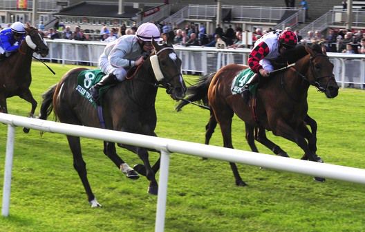 Stronger Than Me comes through on the inside to beat Salam Alaykum