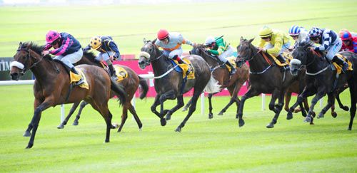 Majestic Queen leads her rivals home under Michael Hussey 