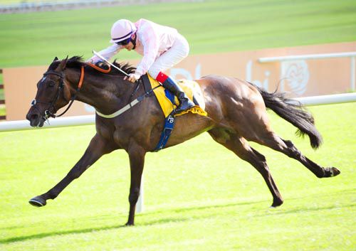 Domination & Fran Berry in full flow