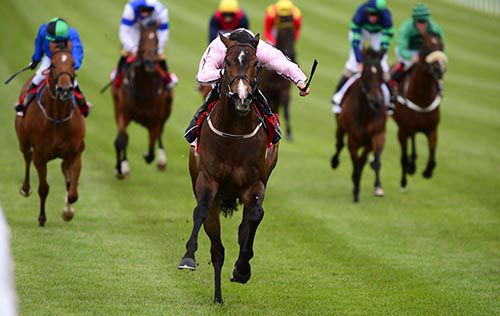 Ansgar ran out a good winner at the Curragh under Rory Cleary