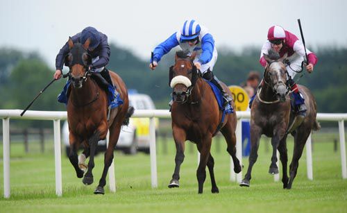 Lightnin Hopkins (noseband) comes to 'do' Bronte with Toccata Blue chasing at Fairyhouse