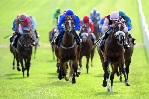 Luna Forest and Ronan Whelan