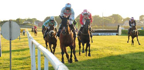 The Mooch gets off the mark in Wexford's bumper